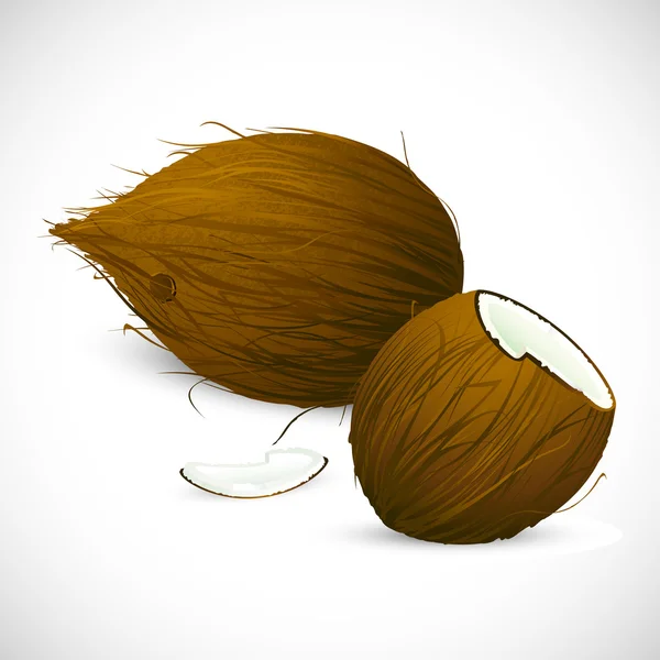 Kokosnötter — Stock vektor