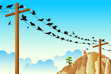 Birds sitting on Wire clipart