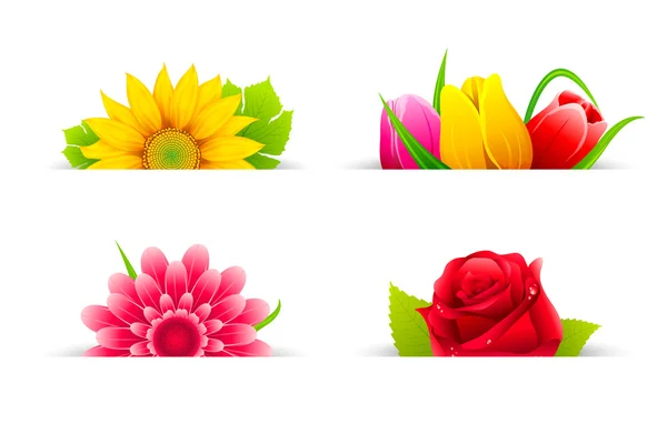 Flor colorida — Vector de stock