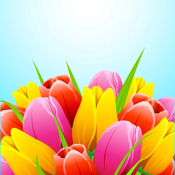 Colorful Tulip Flower — Stock Vector