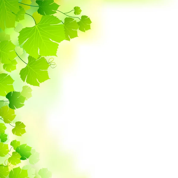 Grönt blad bakgrund — Stock vektor