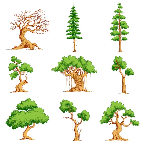Drzewo wektor zestaw — Wektor stockowy