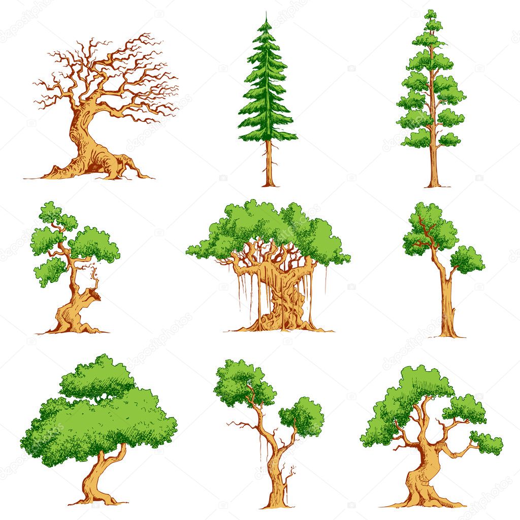 Vector Tree Set