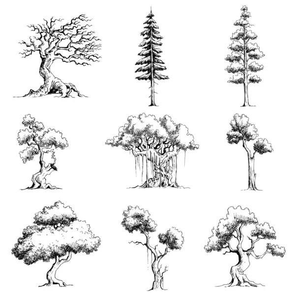 Uppsättning träd — Stock vektor