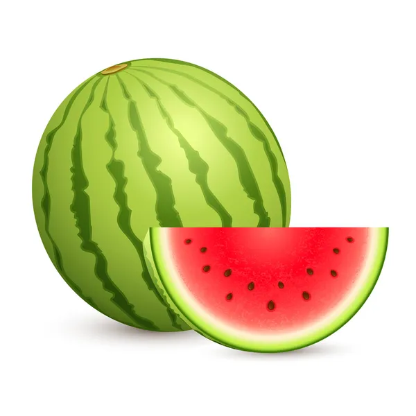 Šťavnatý meloun — Stockový vektor
