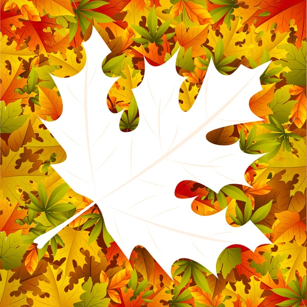 Maple Leaf Background — Stock Vector