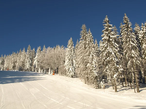 stock image Ski run ski piste