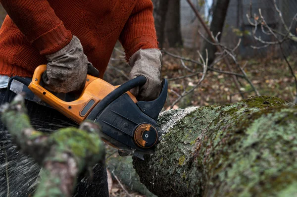 Man cuts wood with electric saw — Stock Photo, Image