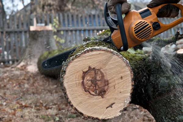 Man cuts tree with electric saw — Stock Photo, Image