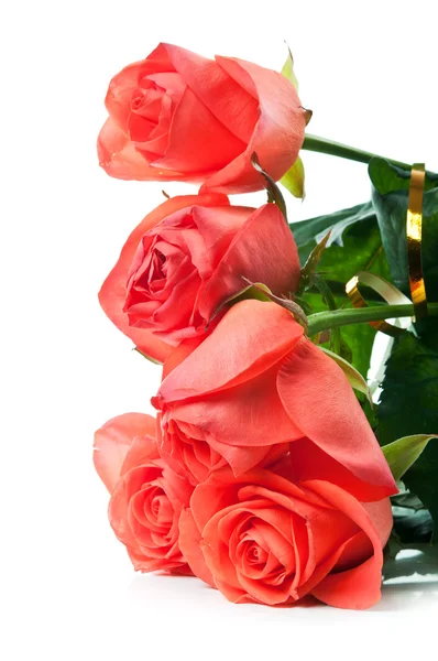 Červené růže, samostatný — Stock fotografie