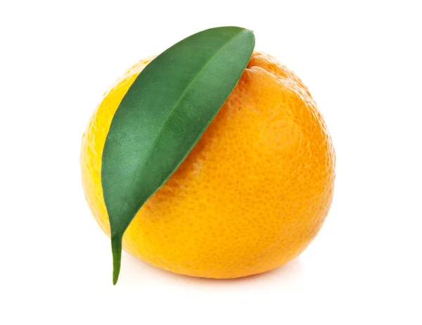 Mandarina naranja fresca —  Fotos de Stock