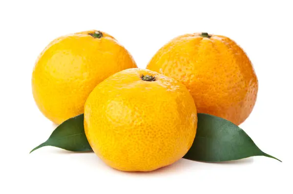 Оранжевый мандарин — стоковое фото