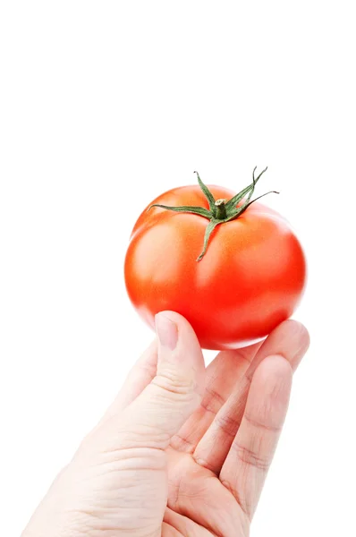 Mannen innehar tomat — Stockfoto