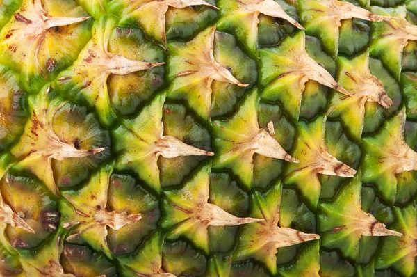 Ananas closeup doku — Stok fotoğraf