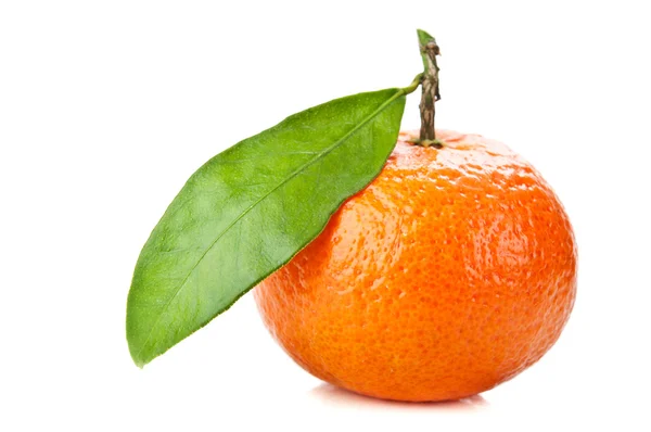 Mandarina naranja fresca — Foto de Stock