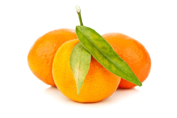 Świeże Mandaryn pomarańczowy — Zdjęcie stockowe