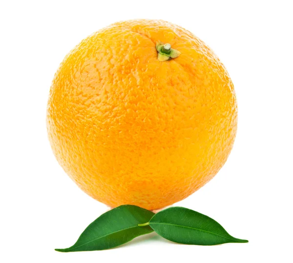 Oranžové ovoce — Stock fotografie