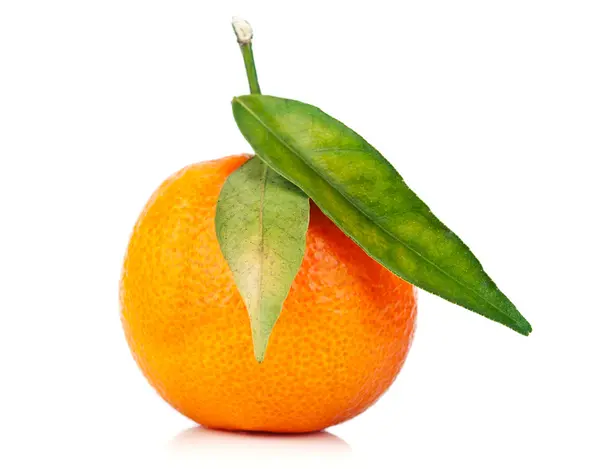 Оранжевый мандарин — стоковое фото
