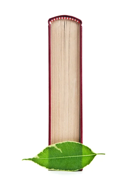 Kırmızı kitap ve yaprak yeşil — Stok fotoğraf