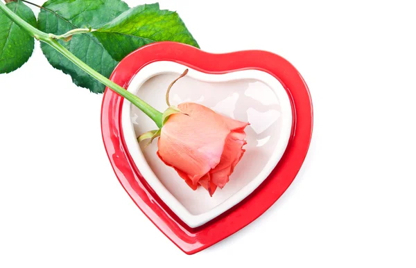 Heart and red rose Stock Picture