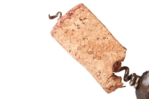 Piece of wine cork on corkscrew Stock Image