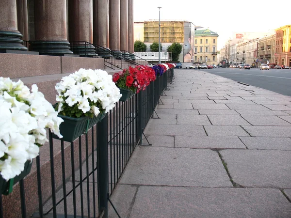 stock image Flowers on street