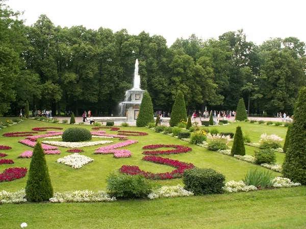 The park in Petergof in summer — Stock Photo, Image
