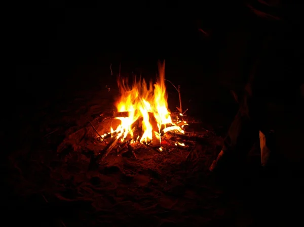 夜のたき火 — ストック写真
