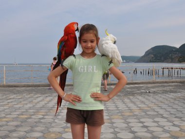 The girl with the parrots clipart