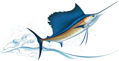 Jumping sailfish clipart