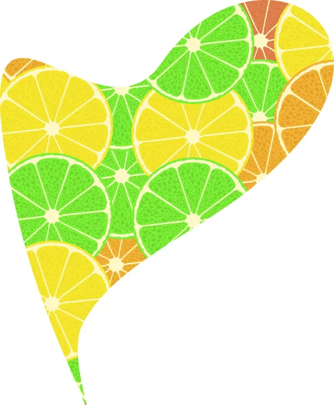 Citrus fruit heart. Isolated on white background — Stock Vector