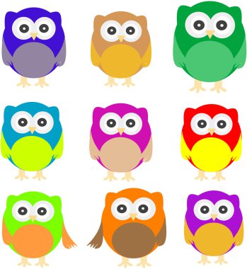 Set of Owls isolated on white clipart