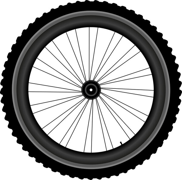 Bike wheel isolated on white background
