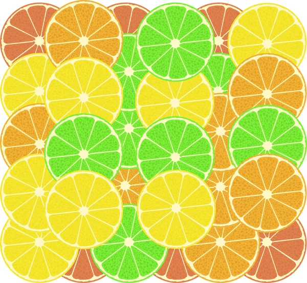 Fruits of an orange, a lemon, grapefruit and lime — Stock Vector