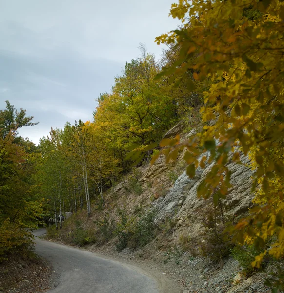 De weg naar de bergen — Stockfoto