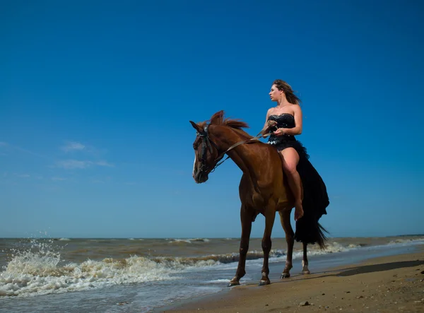 stock image Girl and horse