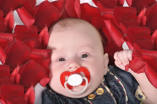 The baby 's face with the red dummy — стоковое фото