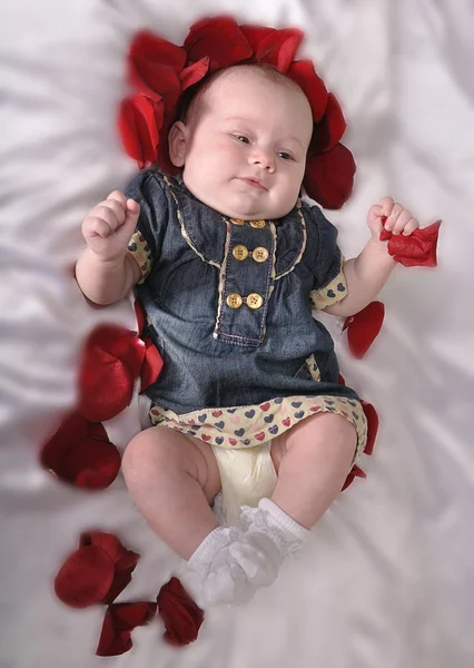 Um bebê bem vestido com uma comitiva de pétalas vermelhas — Fotografia de Stock