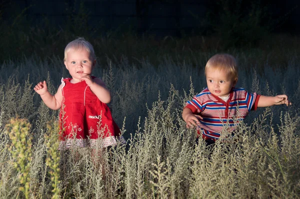 Children are walking in a field at dusk — Stock Photo, Image