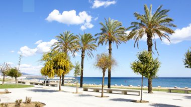 Sight of a walk and Badalona's beach clipart