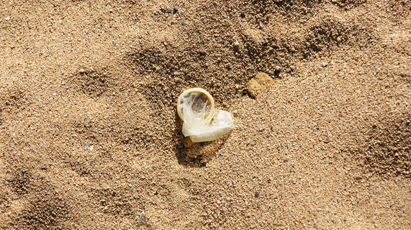 Презерватив на песке — стоковое фото