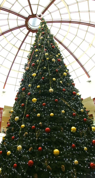 stock image Christmas tree.