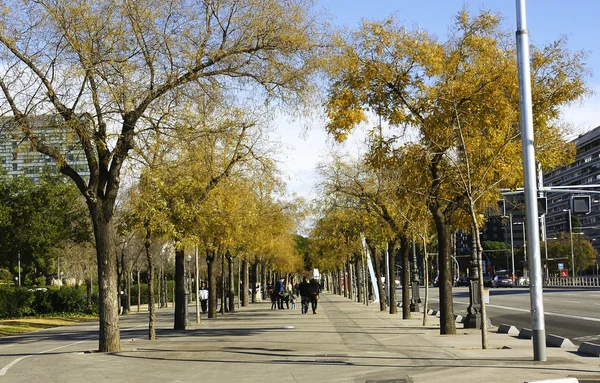 Stock image Autumn in Barcelona