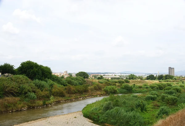 Llobregat river — Stock Photo, Image