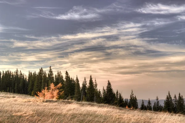 Colorful sunset in Ukrainian mountains — Stock Photo, Image