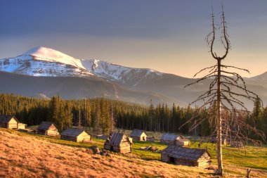 Dead wood and old houses in the Carpathian Mountains of Ukraine clipart