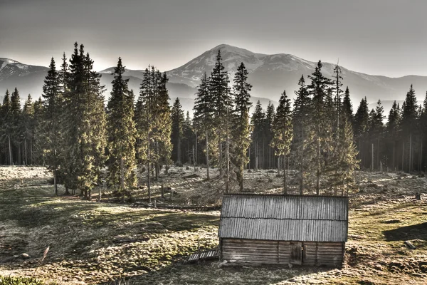 A velha casa negligenciada está nas altas montanhas dos Cárpatos. — Fotografia de Stock