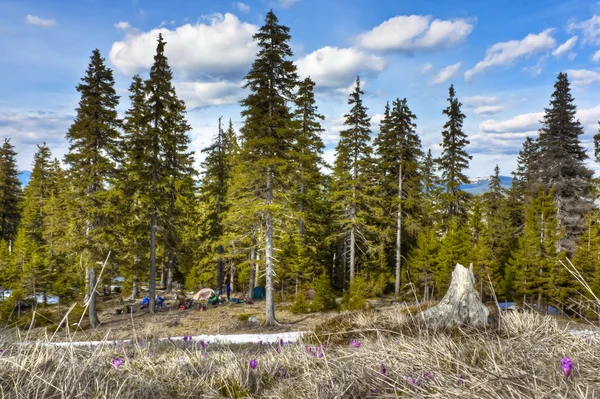 Camping turistů je v horském lese Karpat — Stock fotografie