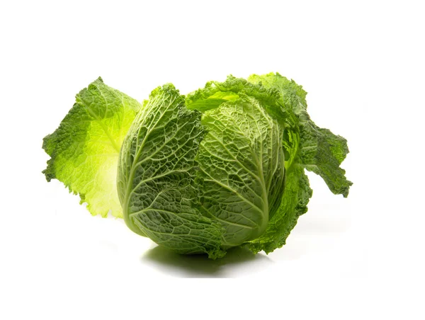 stock image Cabbage