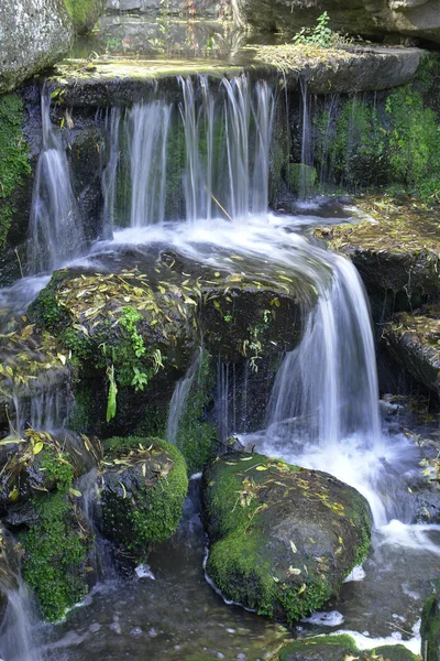 stock image Waterfall